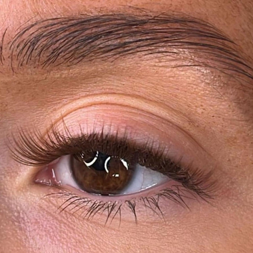Aine Intense Brown Lash Ribbons® Collections