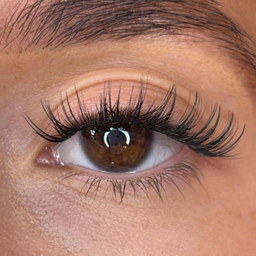 Alma Lash Ribbons® Collections