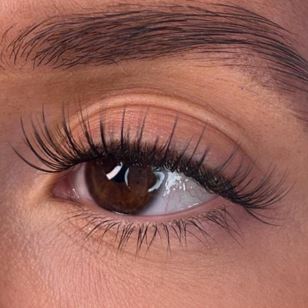 Codee - 3D 'D' Curl 18mm Lash Ribbons® - Sale Item