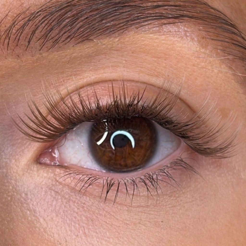 Erin - 'C' Curl Brown Lash Ribbons®