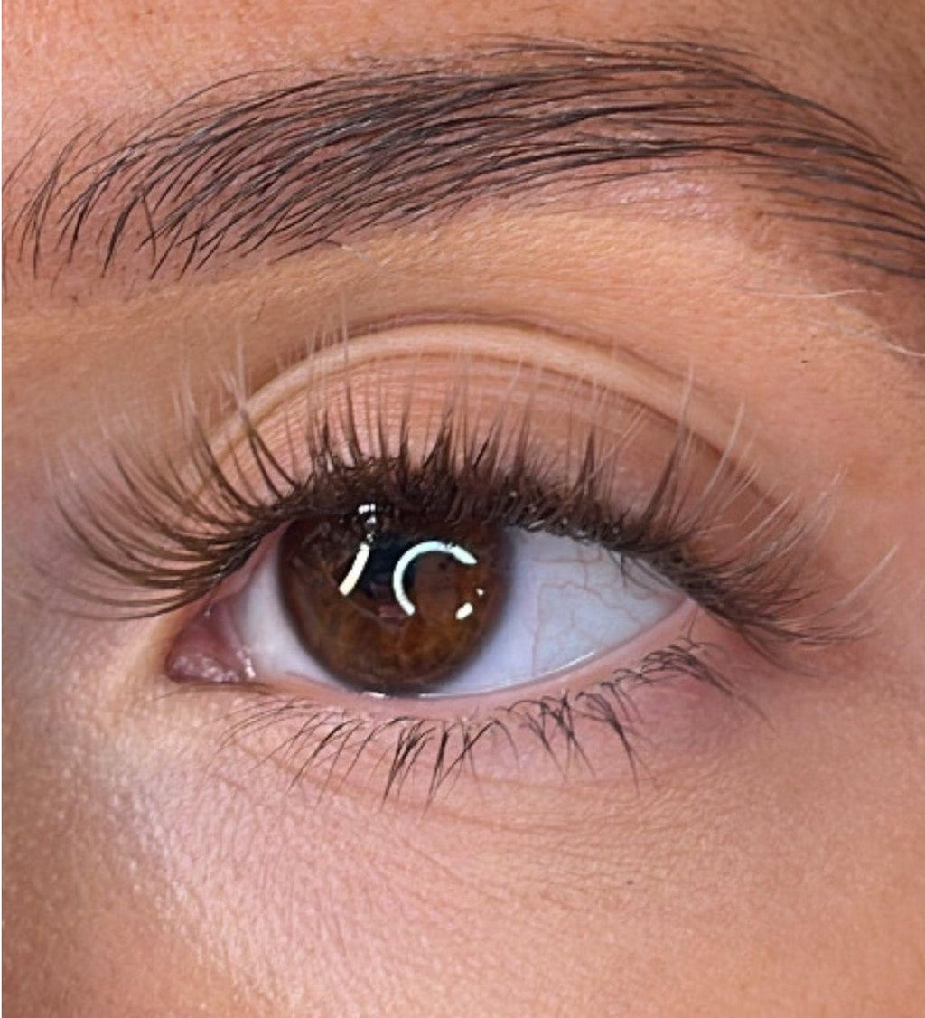 Logan - 3D 'D' Curl Brown Lash Ribbons®