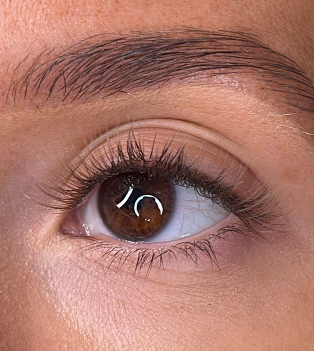 Moira - 3D 'D' Curl Brown Lash Ribbons®