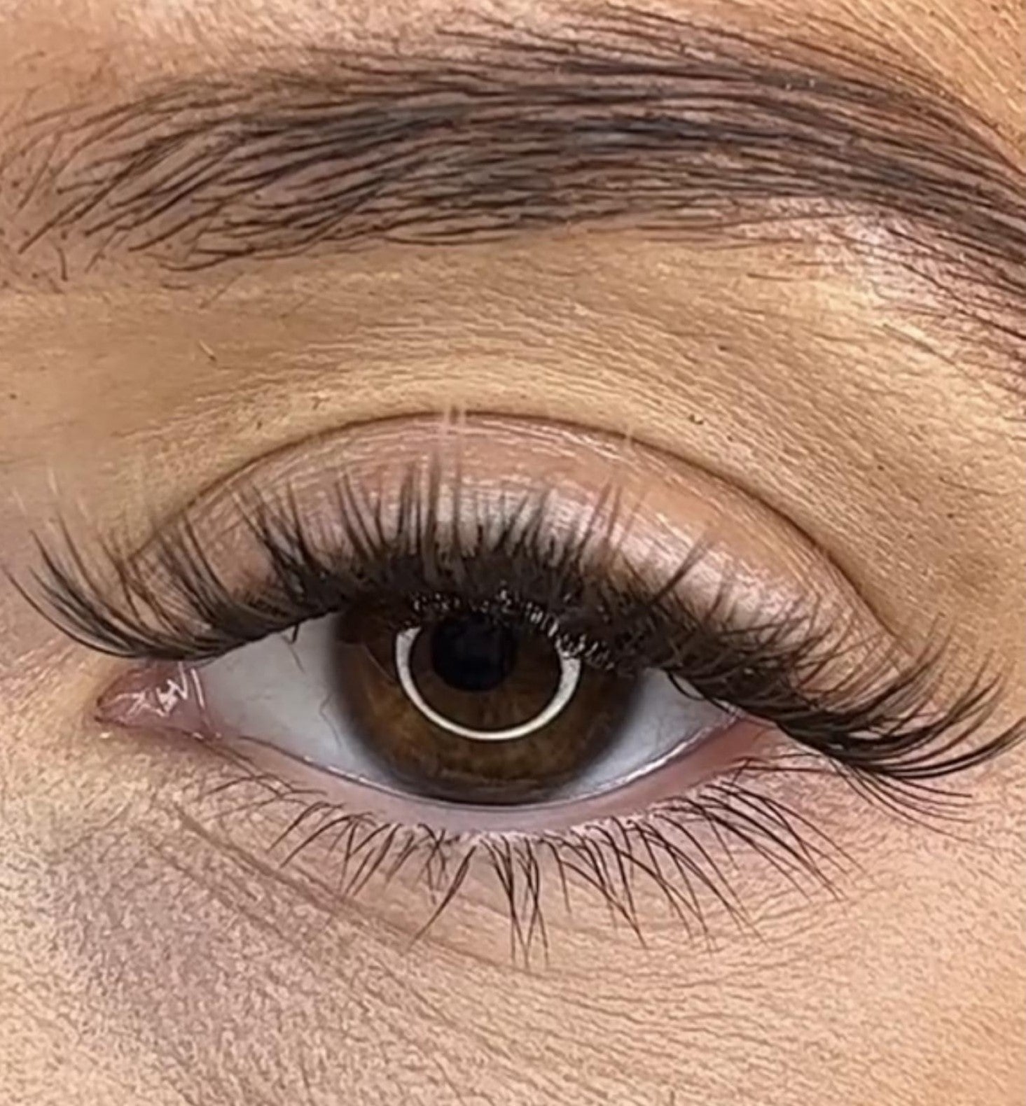 Niamh - 3D Black/Brown 'C' Curl Lash Ribbons®