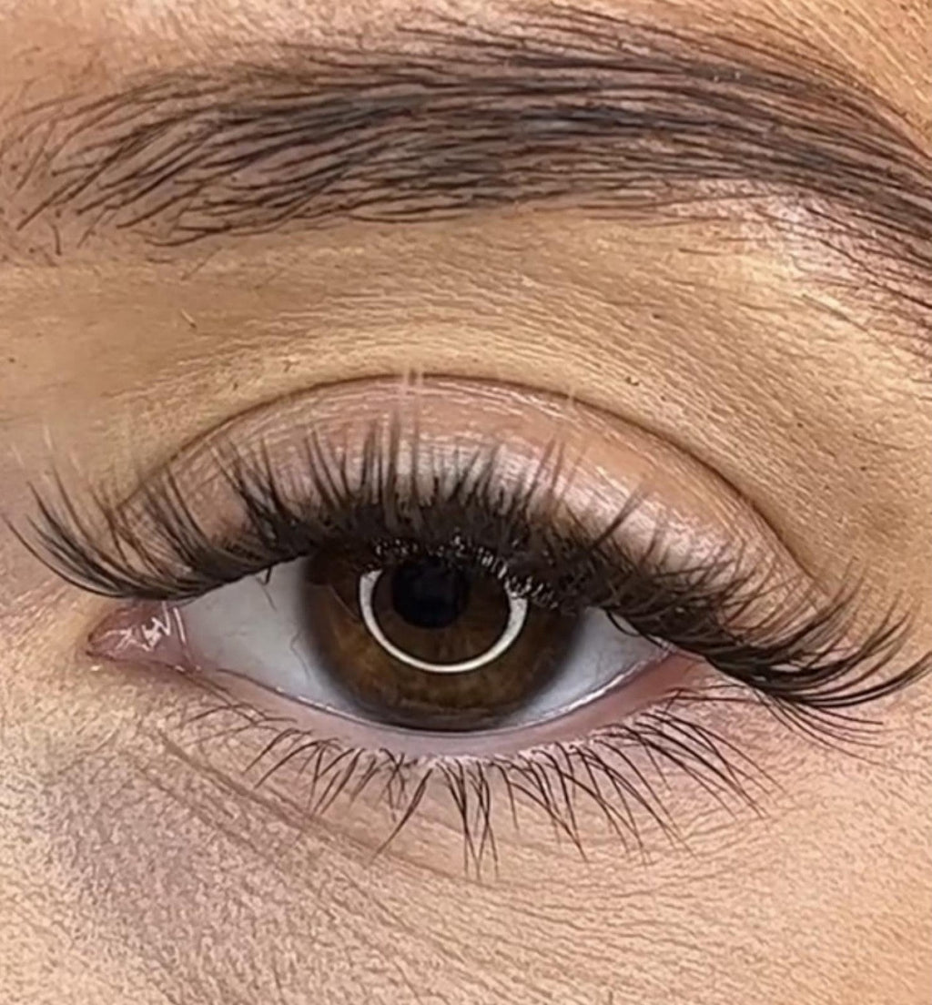 Niamh - 3D Black/Brown 'C' Curl Lash Ribbons® - Sale Item