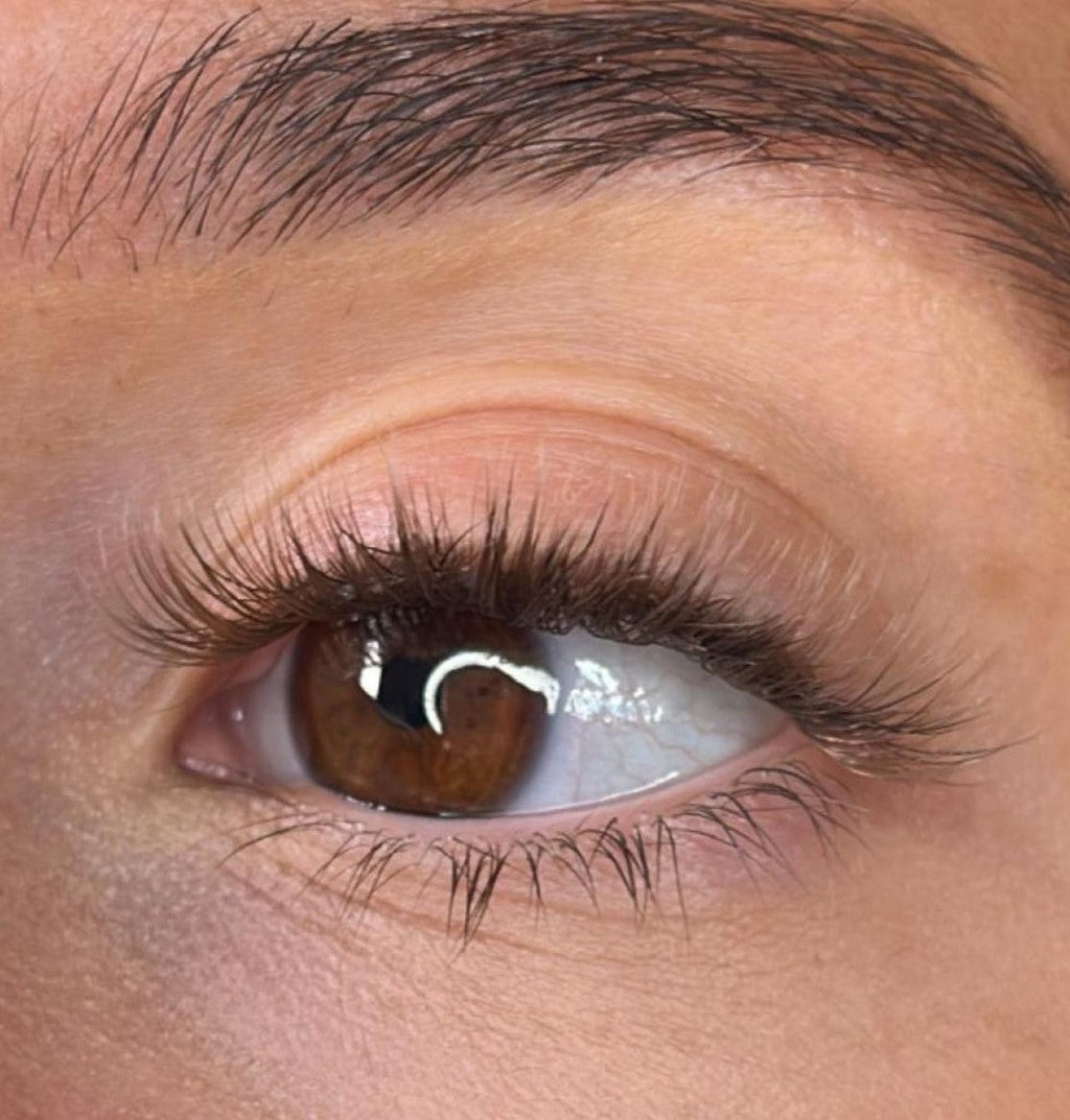 Niamh - 3D 'D' Curl Brown Lash Ribbons®