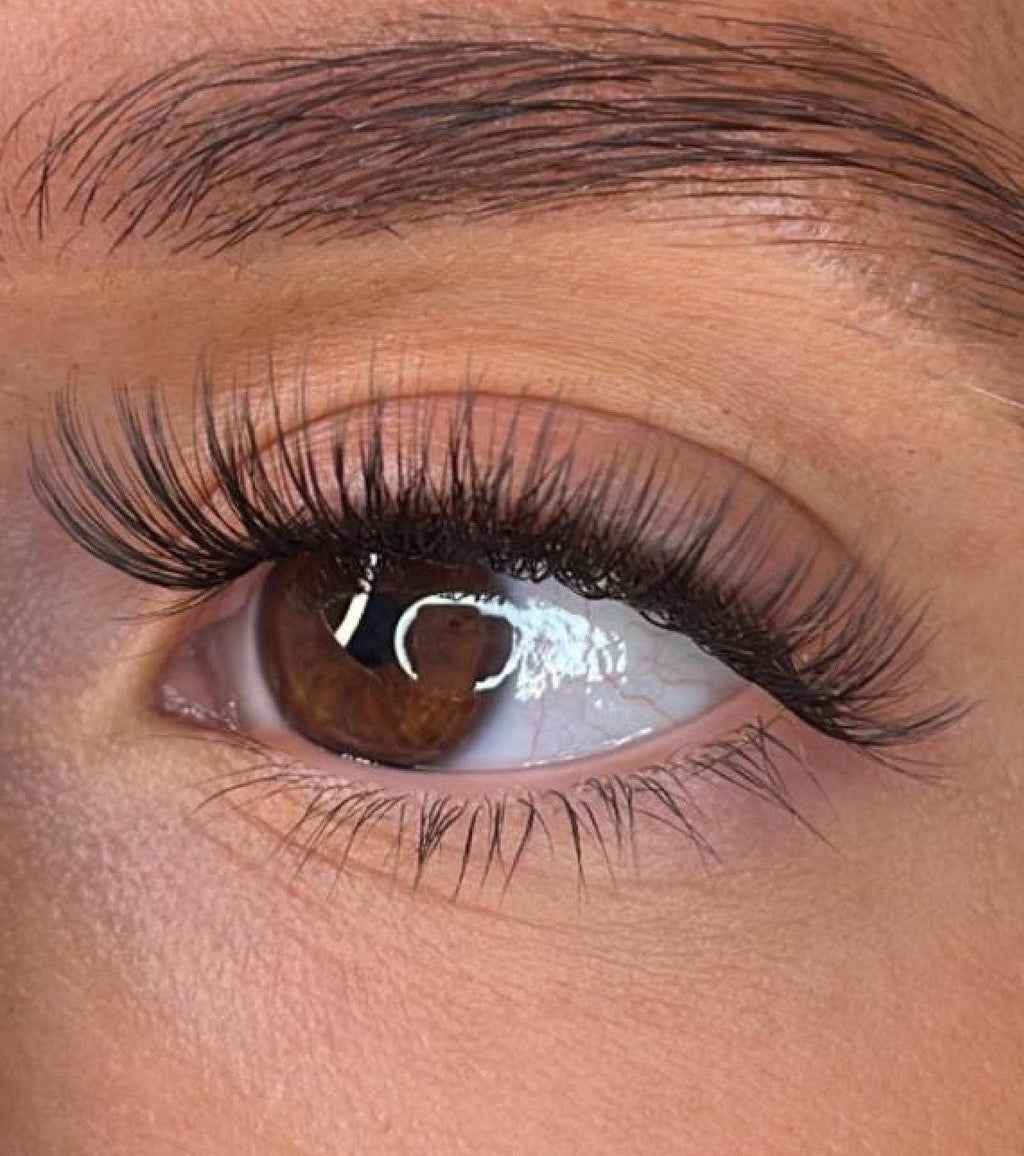 Niamh - 3D 'D' Curl Lash Ribbons®