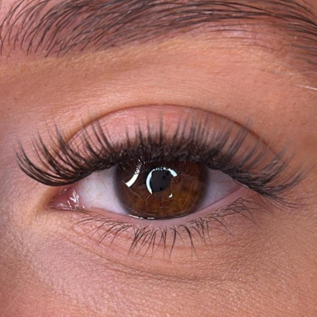 Orla - 'C' Curl Lash Ribbons® Invisible Band