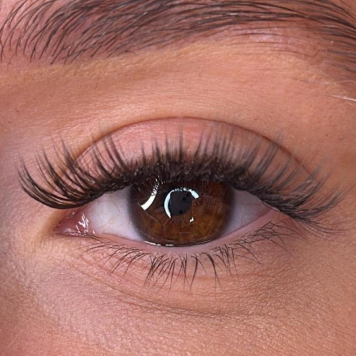 Orla - 'C' Curl Lash Ribbons® Invisible Band