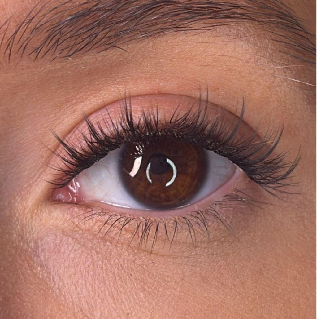 Roisin Pre Styled Lash Ribbons®