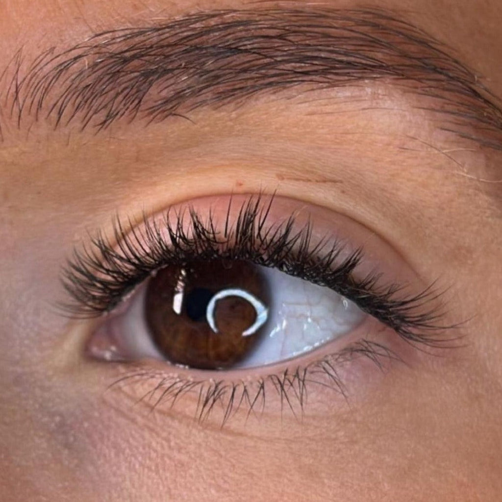 Sinead Pre Styled Lash Ribbons®