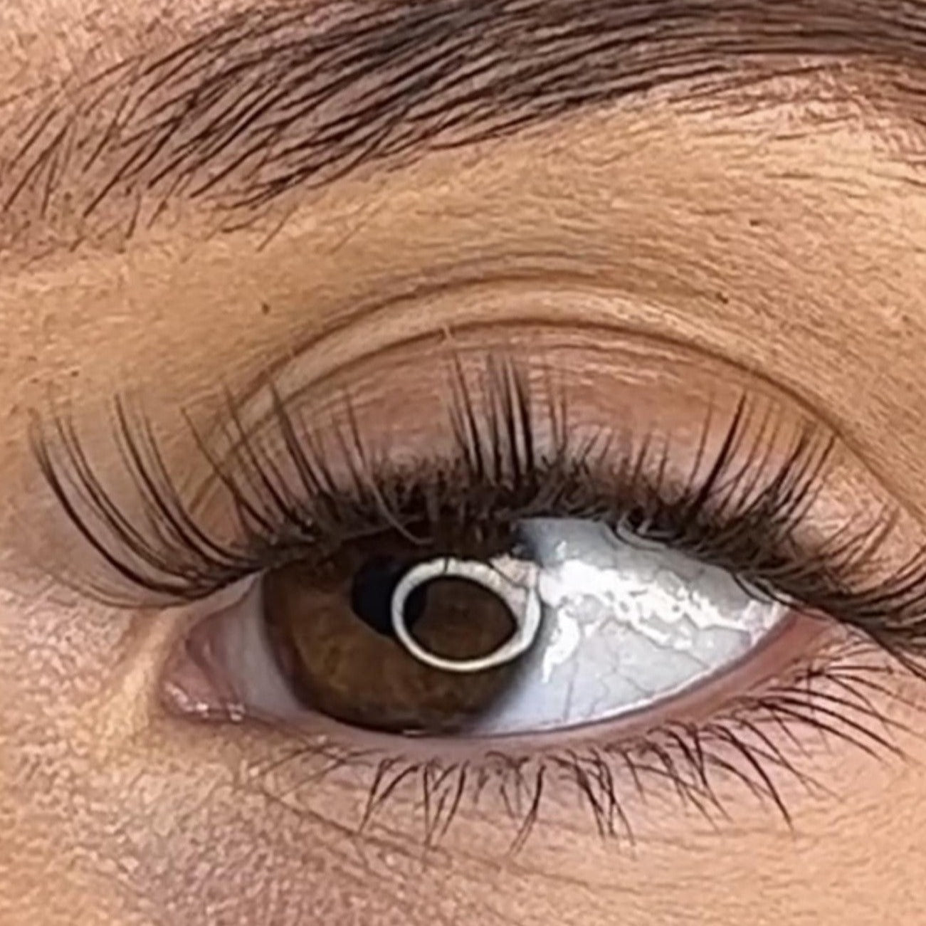 Tegan - 3D Black/Brown 'C' Curl 18mm Lash Ribbons® - Sale Item