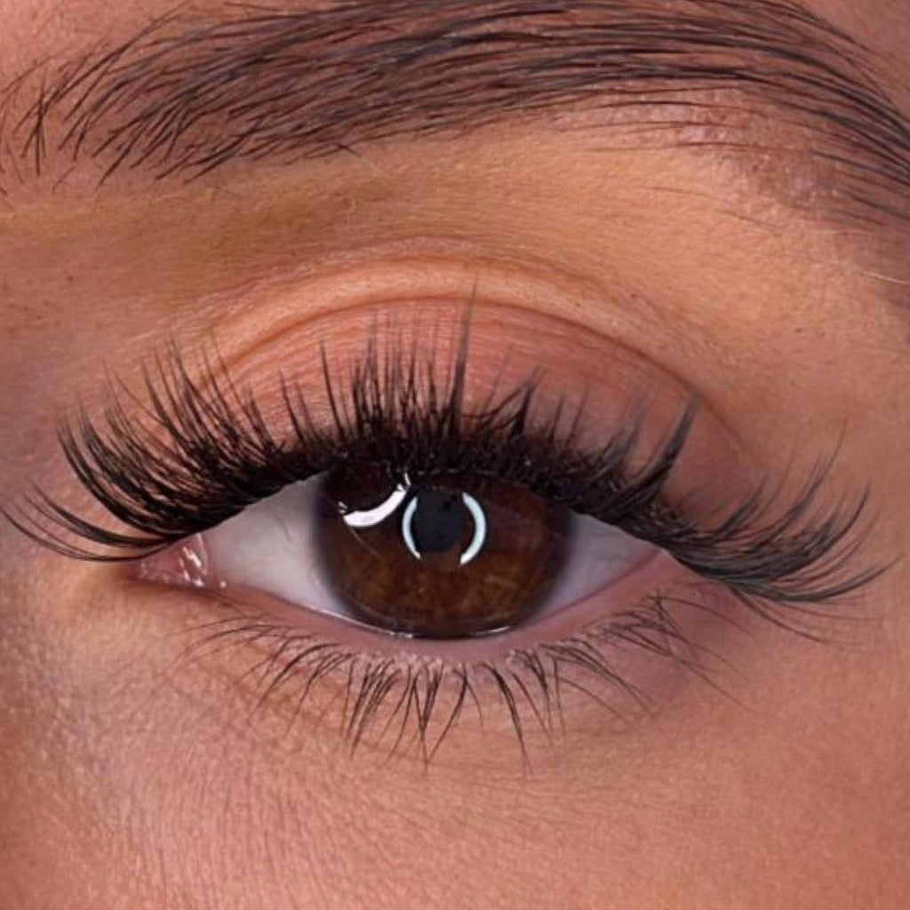 Tegan - 3D 'D' Curl Lash Ribbons®