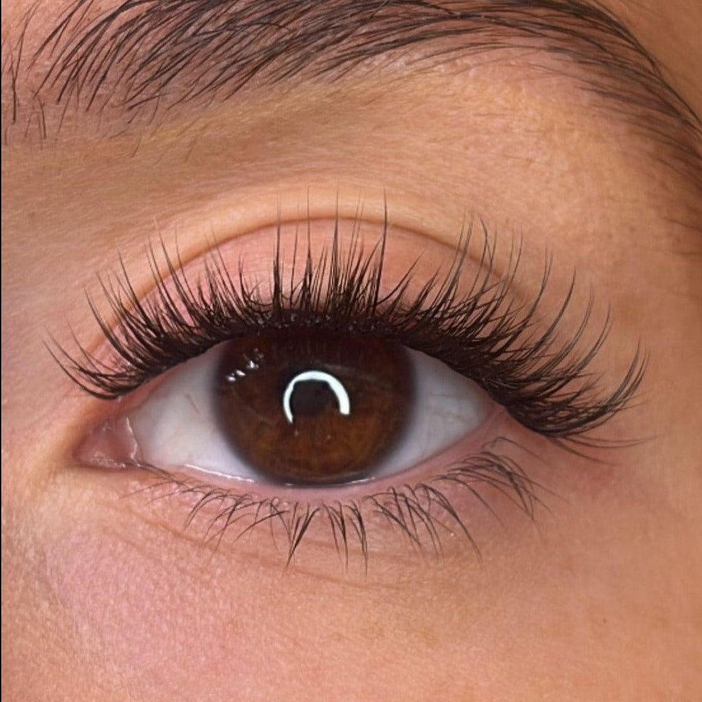 Trista Pre Styled Lash Ribbons®