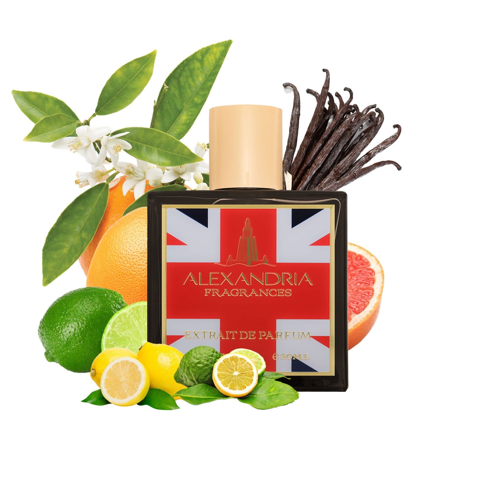 Nobility Inspired By Oligarch Roja Parfums (UK Exclusive)